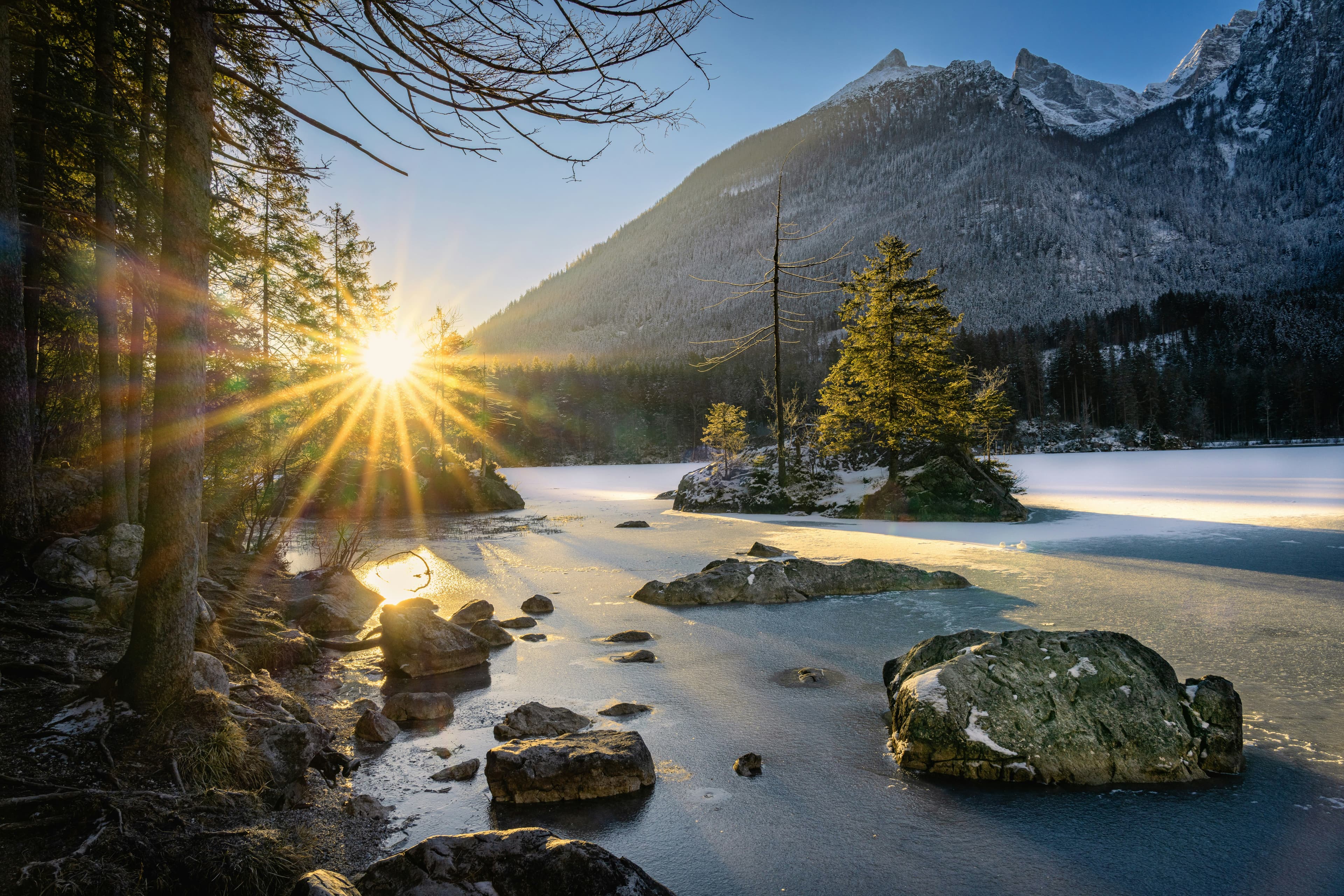 The Science of Vitamin D: Benefits, Dosage & Sources