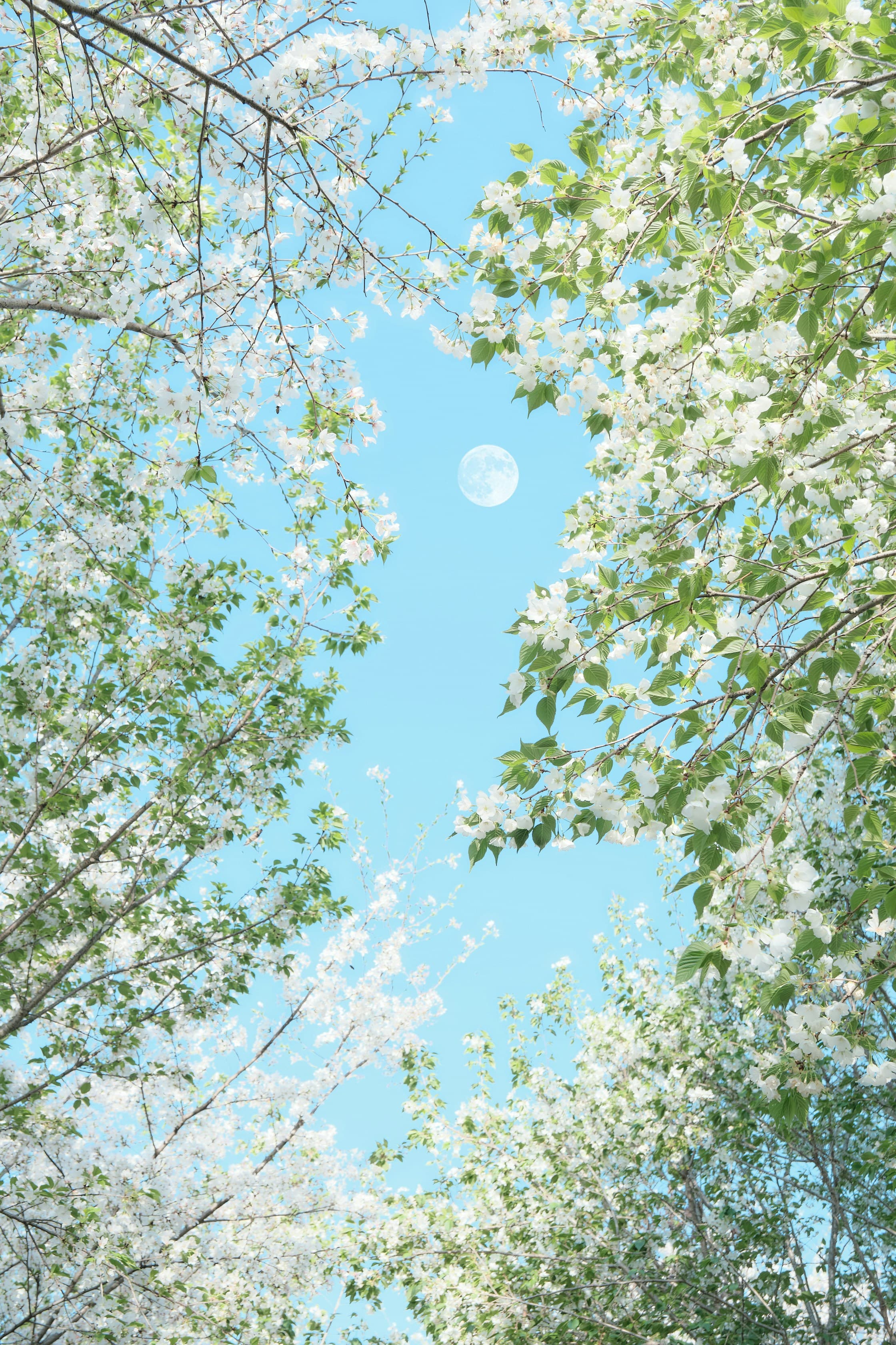 Sleep Quality and Alzheimer's: New Research Insights